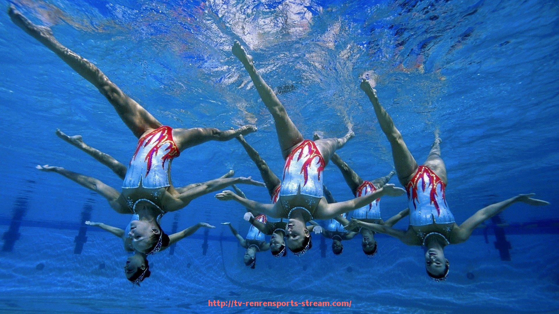 人人体育直播-世俱杯赛事法律事务协调工作机制的设计与实际操作